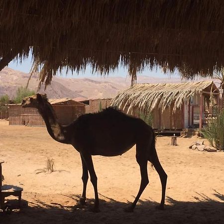 Diana Beach Camp Hotel Nuweiba` Eksteriør billede